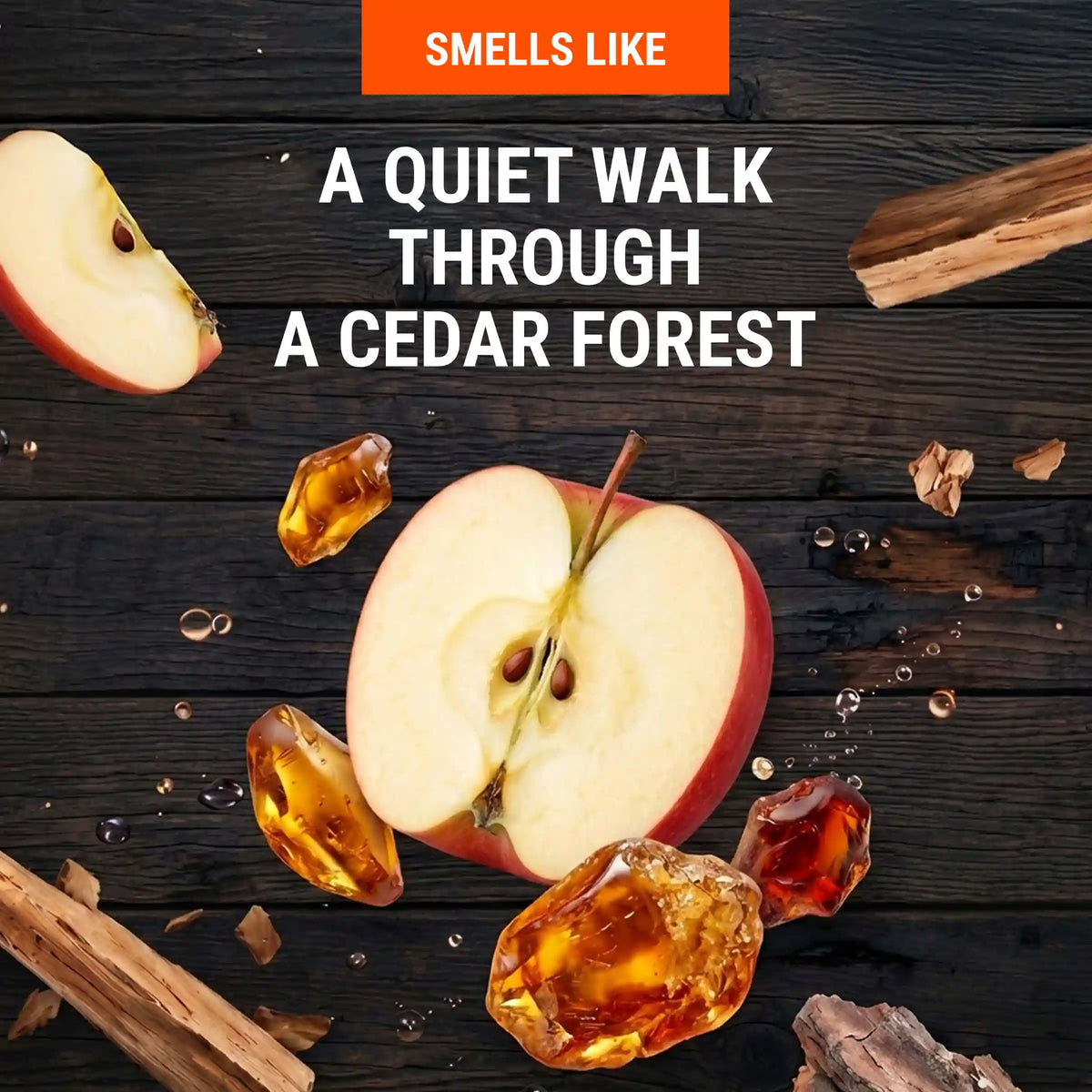 Cedar Grove | Aluminum Free Cream Deodorant