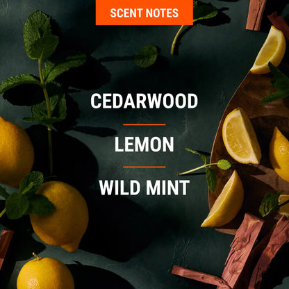 Clover Woods | Aluminum Free Cream Deodorant